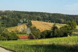 Veliko imanje u srcu Bilogore, Velika Pisanica, Casa