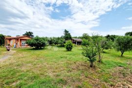 Mala kućica u mirnom okruženju, Marčana, House