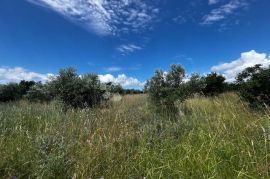 Poljoprivredno zemljište u Kavranu, Marčana, Terrain