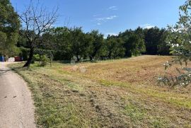 IDEALNO ZEMLJIŠTE ZA OBITELJSKU KUĆU NA POVIŠENOM DIJELU, Pazin, Terreno