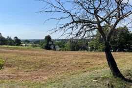 IDEALNO ZEMLJIŠTE ZA OBITELJSKU KUĆU NA POVIŠENOM DIJELU, Pazin, Terreno