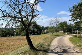 IDEALNO ZEMLJIŠTE ZA OBITELJSKU KUĆU NA POVIŠENOM DIJELU, Pazin, Terreno