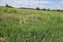 SAVRŠENO ULAGANJE U BUDUĆNOST, Varaždin, Arazi