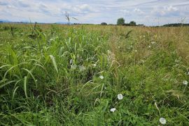 SAVRŠENO ULAGANJE U BUDUĆNOST, Varaždin, Land