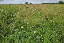 SAVRŠENO ULAGANJE U BUDUĆNOST, Varaždin, Terreno