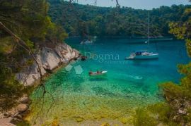 ŠOLTA-PRVI RED DO MORA, građevinska parcela 2068 m2 i kuća 10 metara do plaže, Šolta, Terreno