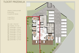 NAJPOŽELJNIJA NOVOGRADNJA U GRADU - STAN B-P-L, PRIZEMLJE S VRTOM, Novigrad, Appartment