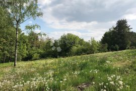 Bajkovito zemljište na obroncima Bilogore, Kapela, Tierra