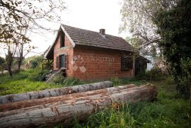 Kuća sa poslovnim prostorom i velikom okućnicom, Bjelovar - Okolica, Kuća