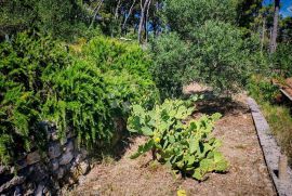 ZLARIN, jedinstvena vila i građevinska parcela nadomak mora sa spektakularnim pogledom, Šibenik - Okolica, Σπίτι