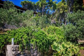 ZLARIN, jedinstvena vila i građevinska parcela nadomak mora sa spektakularnim pogledom, Šibenik - Okolica, Σπίτι