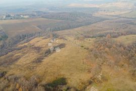 Zemljište za vilu s bazenom s građevinskom dozvolom i plaćenim komunalnim doprinosima, Brtonigla, Land