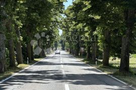 Centar Marčane, kuća / stambeno-poslovni prostor, Marčana, Commercial property