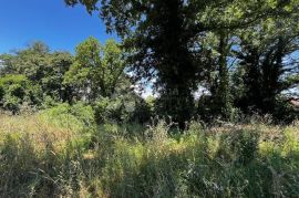 Građevinsko zemljište u blizini kuća, Marčana, Terreno