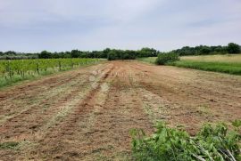 Prilika! Građevinsko zemljište uz glavnu cestu!, Ližnjan, Terreno