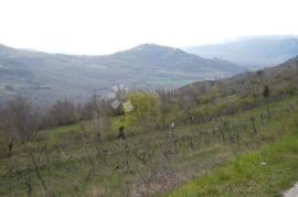 Pogled na Motovun, građevinsko, Pazin - Okolica, Terra