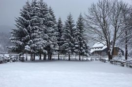 Bjelolasica,Jasenak, kuća za odmor, Ogulin, Casa