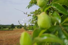 Građevinsko zemljište uz asfaltiranu cestu, Marčana, Terrain