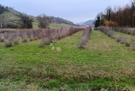 Prekrasne kuće u bajkovitom okruženju, Novi Marof, Famiglia