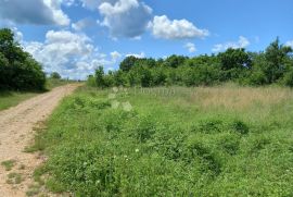 Svetvinčenat, građevinsko zemljište u gospodarskoj zoni, Svetvinčenat, Tierra