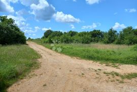 Svetvinčenat, građevinsko zemljište u gospodarskoj zoni, Svetvinčenat, Tierra