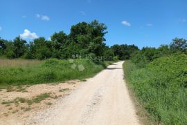 Svetvinčenat, građevinsko zemljište u gospodarskoj zoni, Svetvinčenat, Tierra