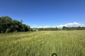 GOSPIĆ  16312 M2 GRAĐEVINSKO / POLJOPRIVREDNO ZEMLJIŠTE, Gospić, Земля