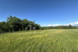 GOSPIĆ  16312 M2 GRAĐEVINSKO / POLJOPRIVREDNO ZEMLJIŠTE, Gospić, Земля