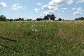 Građevinsko zemljište u okolici Žminja, Žminj, Terrain