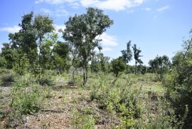 Poljoprivredno zemljište u Raklju, Marčana, Land