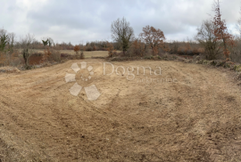 ZEMLJIŠTE S ISHODOVANOM GRAĐEVINSKOM DOZVOLOM I PLAĆENIM KOMUNALIJAMA, okolica Barbana, Barban, Tierra