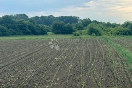 Prodaja Zemljišta u Ščitarjevu, Idealno za Različite Poduzetničke Ideje, Velika Gorica - Okolica, Land