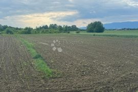 Prodaja Zemljišta u Ščitarjevu, Idealno za Različite Poduzetničke Ideje, Velika Gorica - Okolica, Land