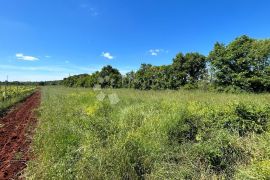 Poljoprivredno Zemljište u Muntiću: 1971 m², Ližnjan, Terra