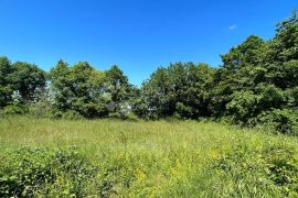 Poljoprivredno Zemljište u Muntiću: 1971 m², Ližnjan, Terra