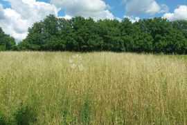 Građevinsko zemljište u okolici Žminja, Žminj, Terrain