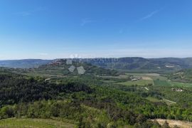 Kompleks zemljišta s otvorenim pogledom na Motovun, Motovun, Terreno