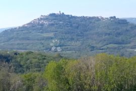 Kompleks zemljišta s otvorenim pogledom na Motovun, Motovun, Terreno