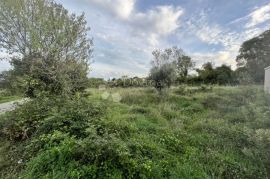 IZVRSTAN GRAĐEVINSKI TEREN SA POGLEDOM NA MORE, Marčana, Tierra