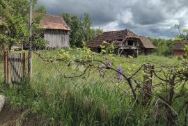 Pokraj jezera, u Eko Selu, Gvozd, Famiglia