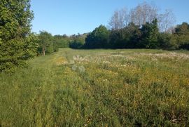 Prostrano građevinsko zemljište u okolici Pazina, Pazin - Okolica, Land