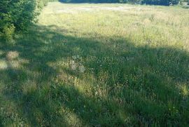 Prostrano građevinsko zemljište u okolici Pazina, Pazin - Okolica, Land