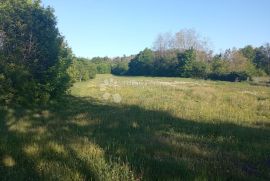 Prostrano građevinsko zemljište u okolici Pazina, Pazin - Okolica, Land