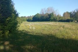 Prostrano građevinsko zemljište u okolici Pazina, Pazin - Okolica, Land