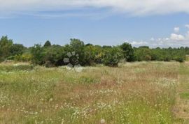 Poljoprivredno Zemljište u Fažani s Pristupnim Putem i Vodom, Fažana, Land