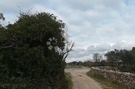 Poljoprivredno zemljište s pristupnim putem i vodom, Fažana, Land