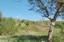 Rijetkost-7.5 Ha u komadu i Kuća na vrhu brda, Karlovac - Okolica, Maison