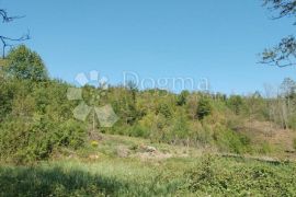 Rijetkost-7.5 Ha u komadu i Kuća na vrhu brda, Karlovac - Okolica, Maison