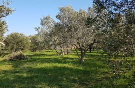 Građevisnko zemljište u Sukošanu, Sukošan, Land