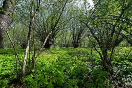 Karlovac poljoprivredno zemljište, Karlovac, Terrain